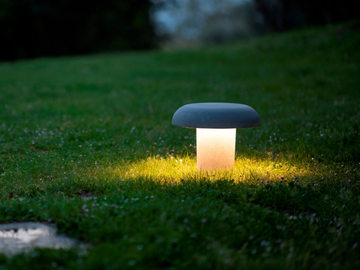 AMANITA-Martinelli-Luce-543850-rel833fdce6.jpg
